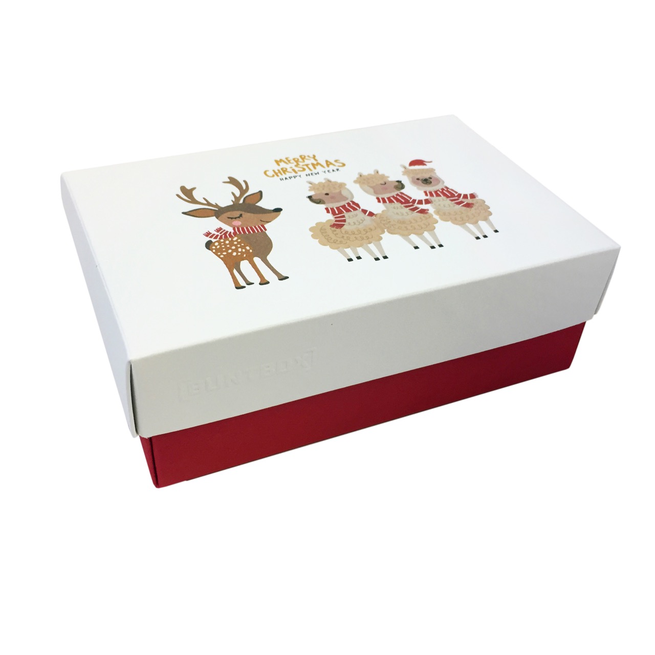 Merry Christmas Alpaca boîte cadeaux Buntbox